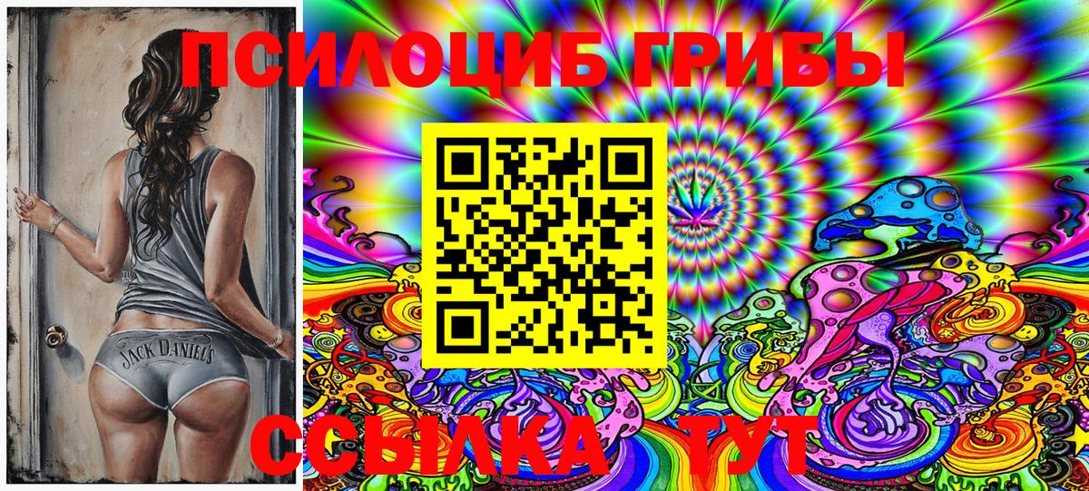 Псилоцибиновые грибы MAGIC MUSHROOMS  Вход с VPN  Галлюциногенные грибы GOLDEN TEACHER  Владикавказ 